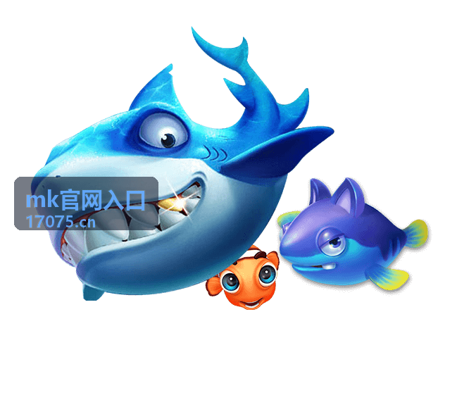 MK官网入口套餐与优惠对比